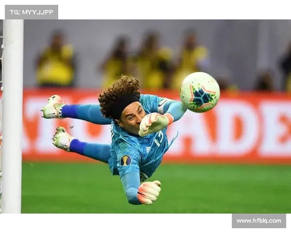 多因素视角下解析巴西队夺得美洲杯冠军的关键成因